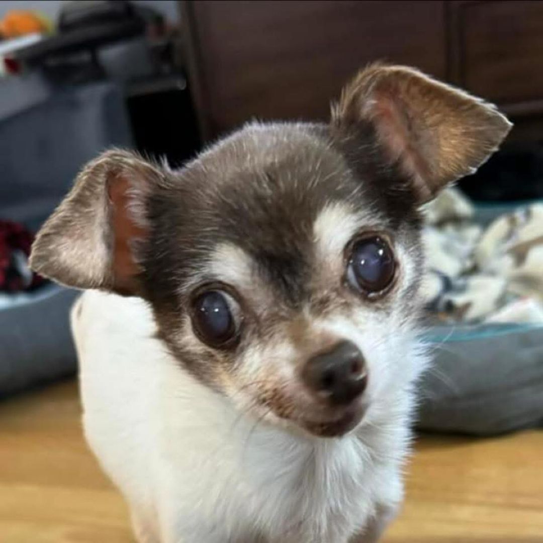 Sharon’s Good Reads