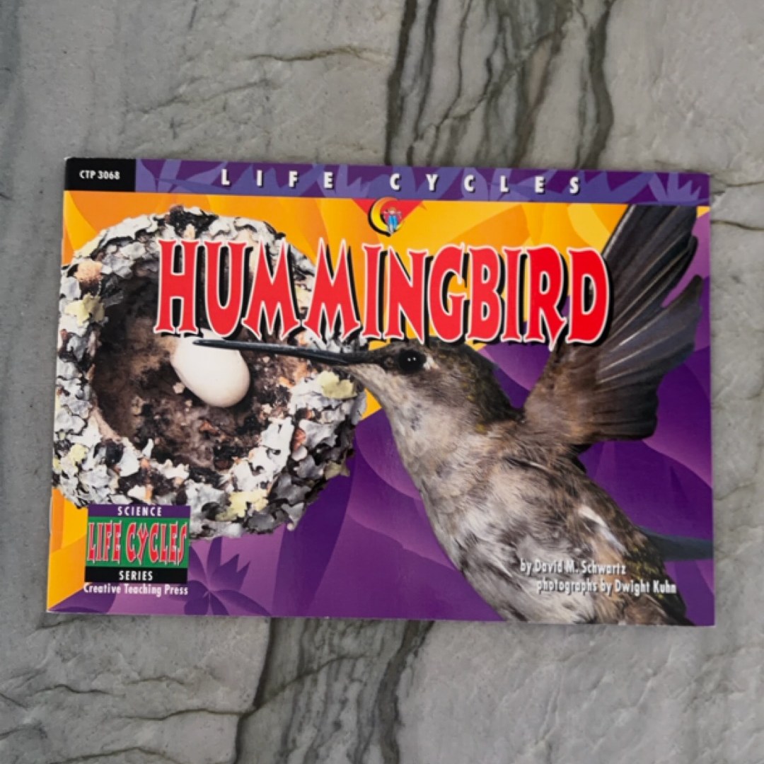 Hummingbird