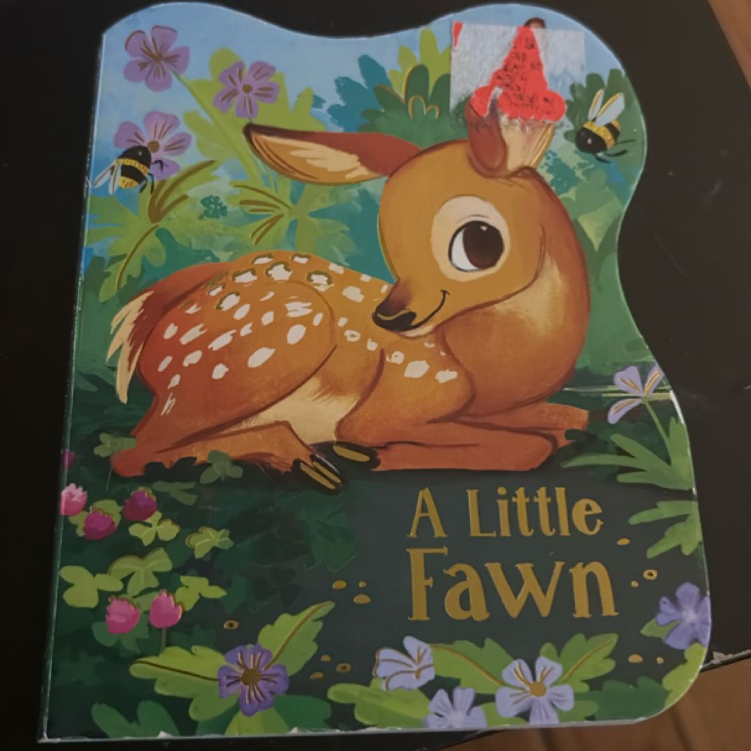 A Little Fawn