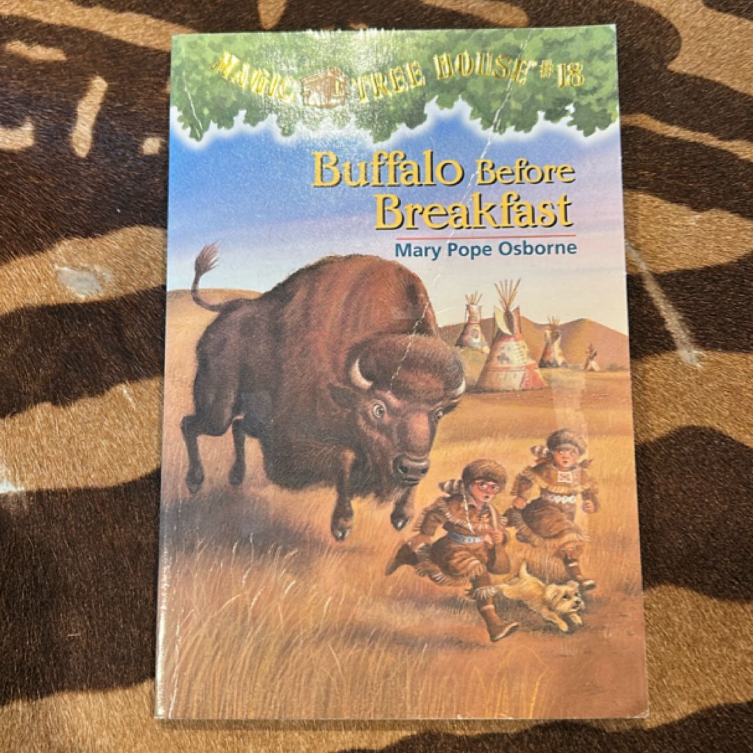 Buffalo Before Breakfast