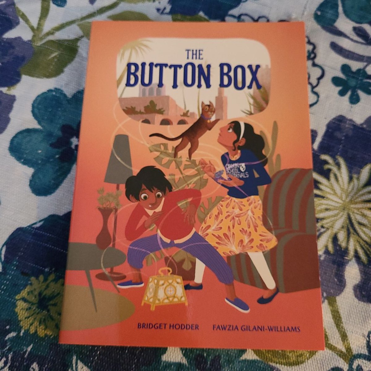 The Button Box by Bridget Hodder, Fawzia Gilani-Williams
