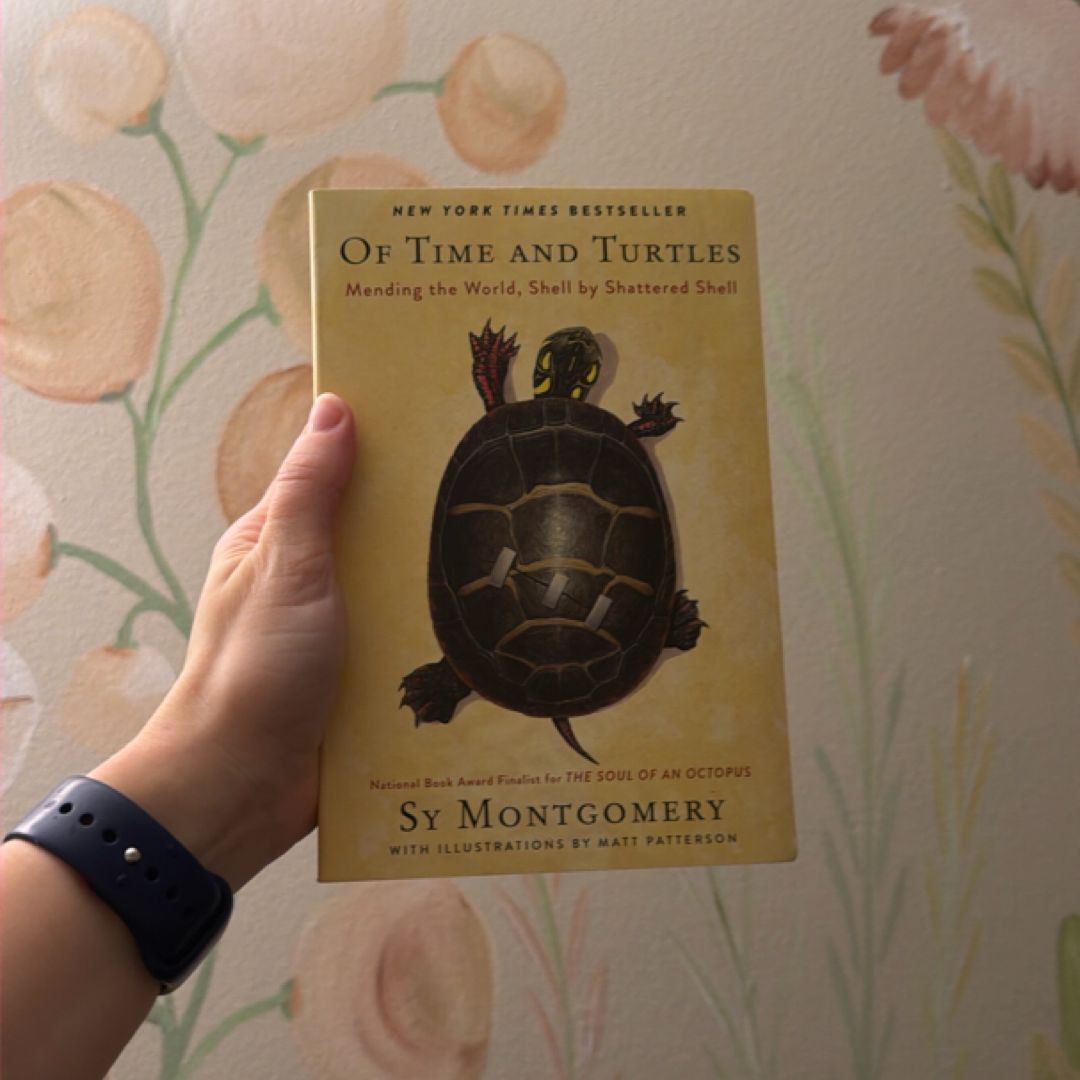 Of Time and Turtles