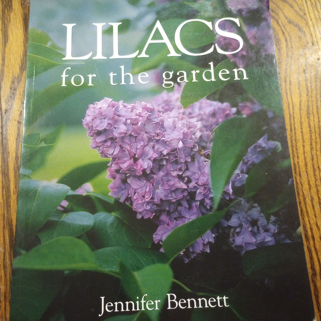 Lilacs for the Garden