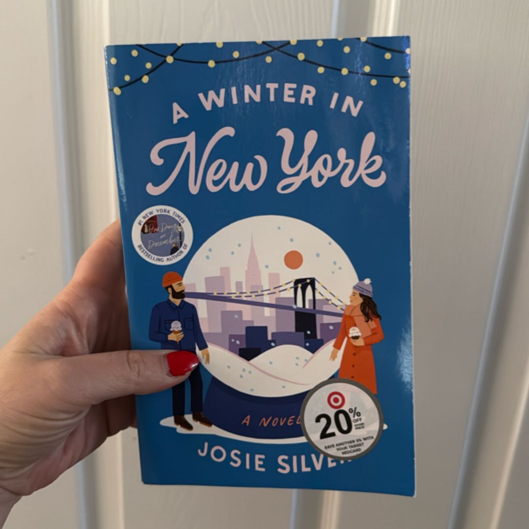 A Winter in New York