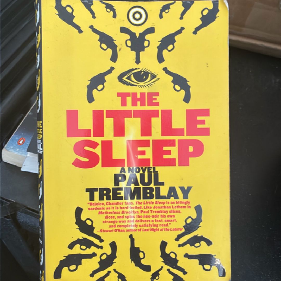 The Little Sleep