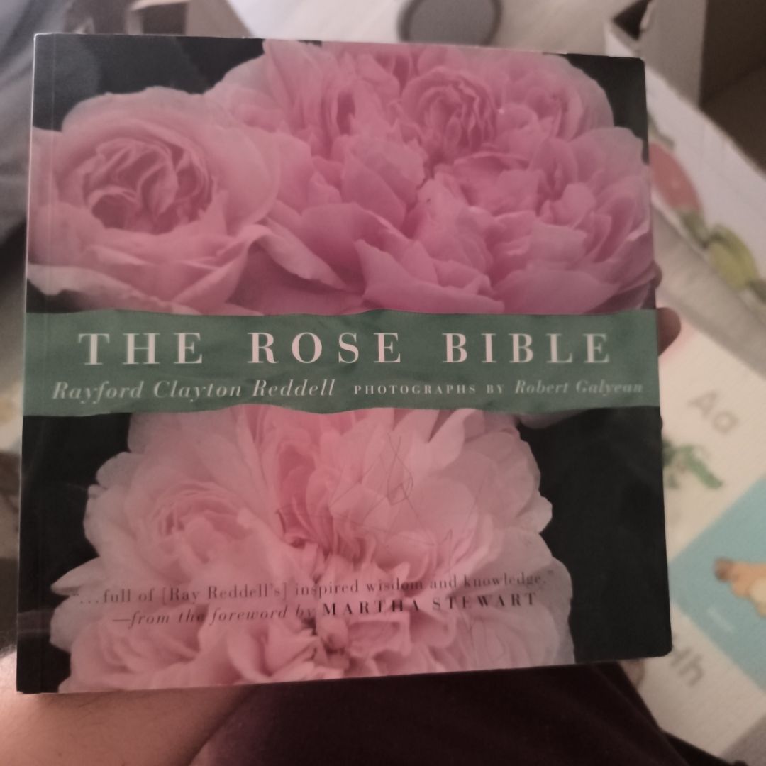 Rose Bible