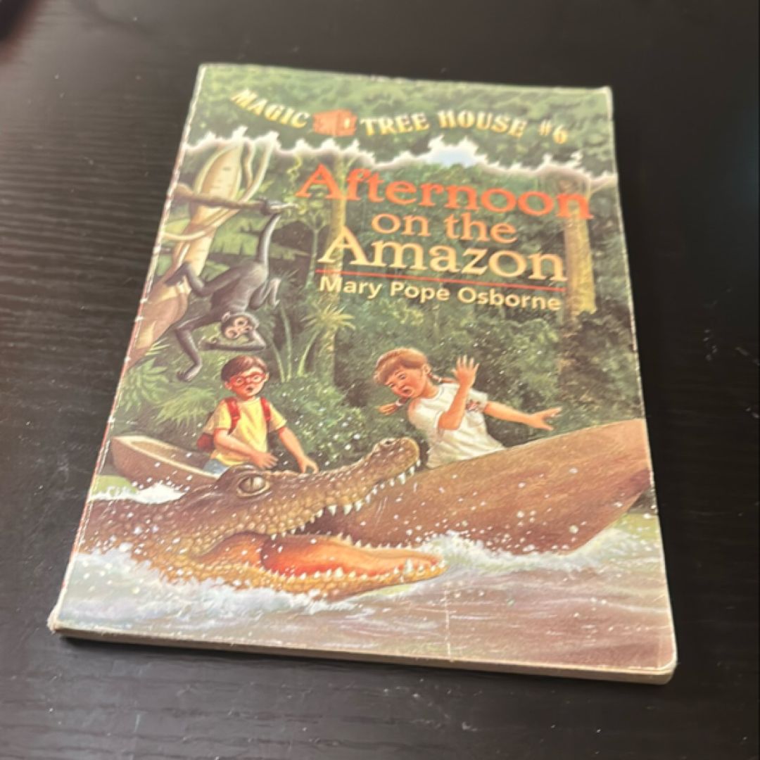 Afternoon on the Amazon