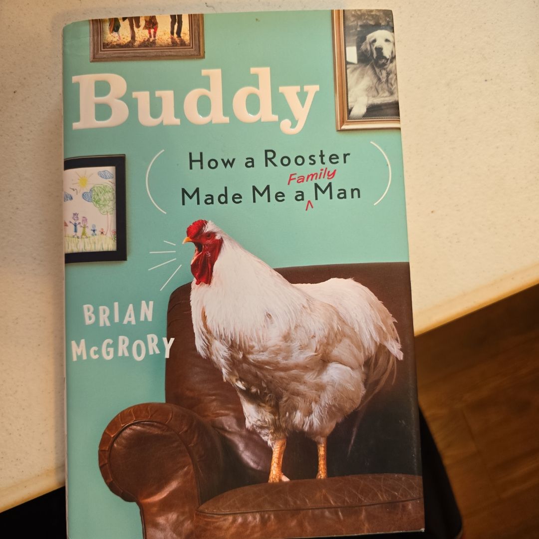 Buddy