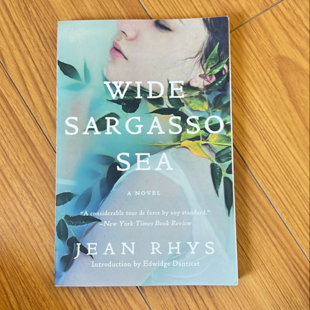 Wide Sargasso Sea