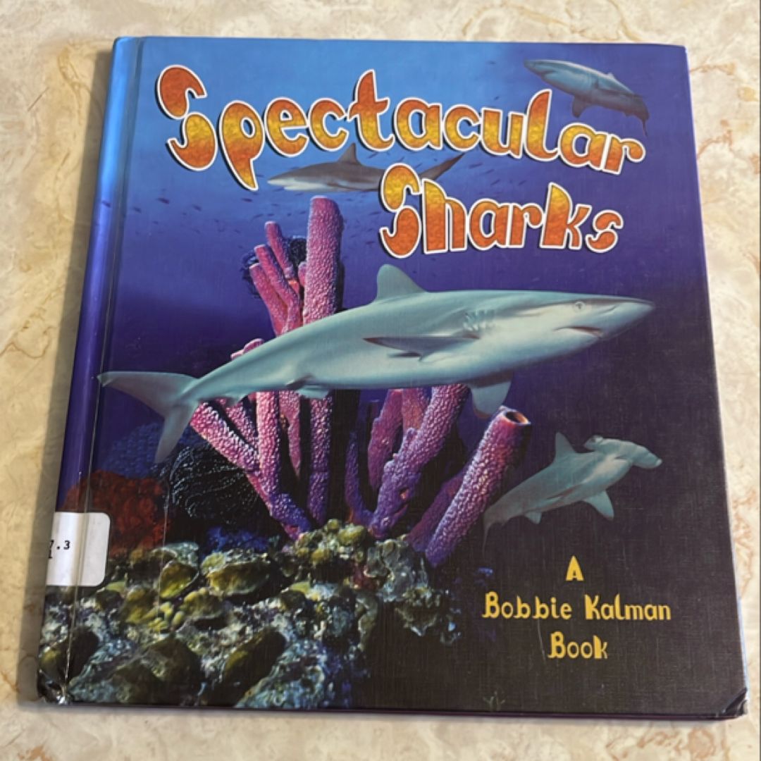 Spectacular Sharks