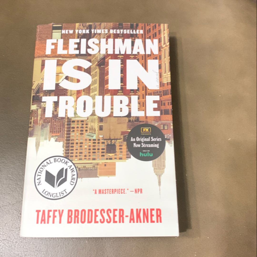 Fleishman Is in Trouble