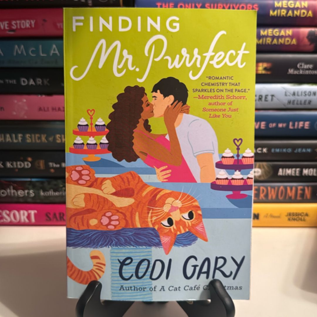 Finding Mr. Purrfect