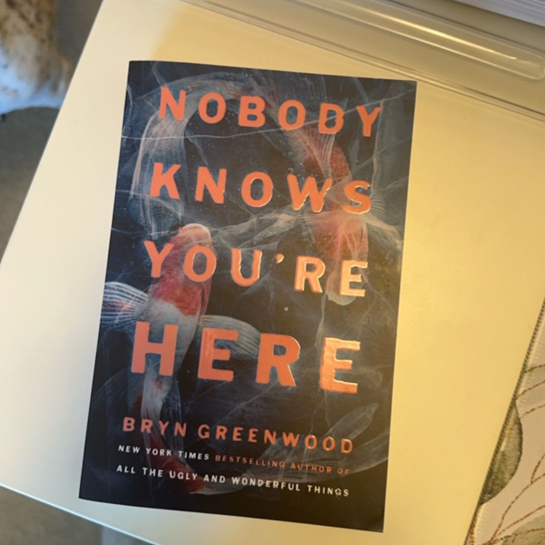 Nobody Knows You're Here