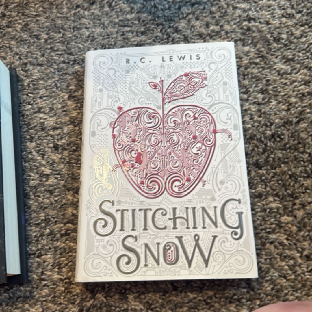 Stitching Snow