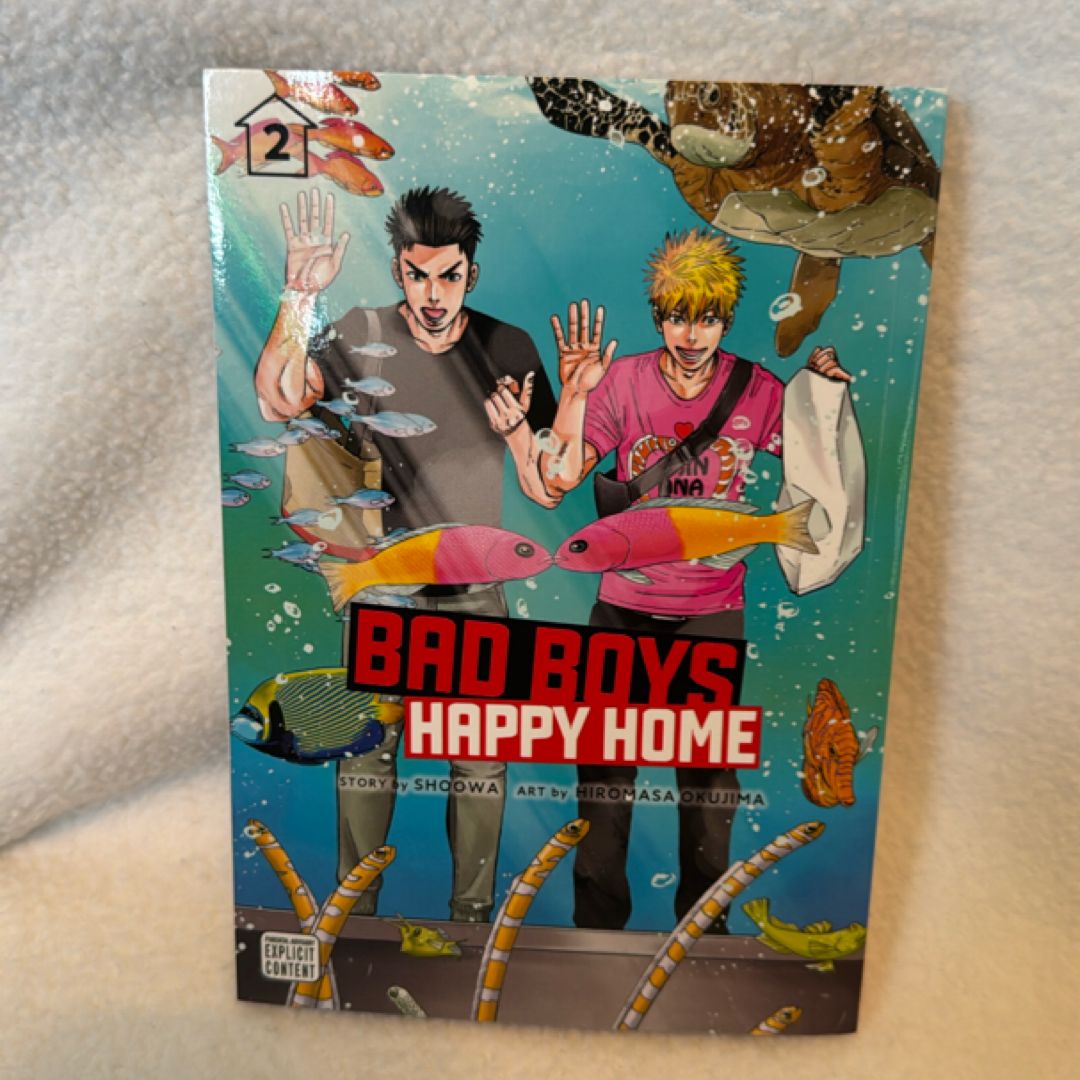 Bad Boys, Happy Home, Vol. 2