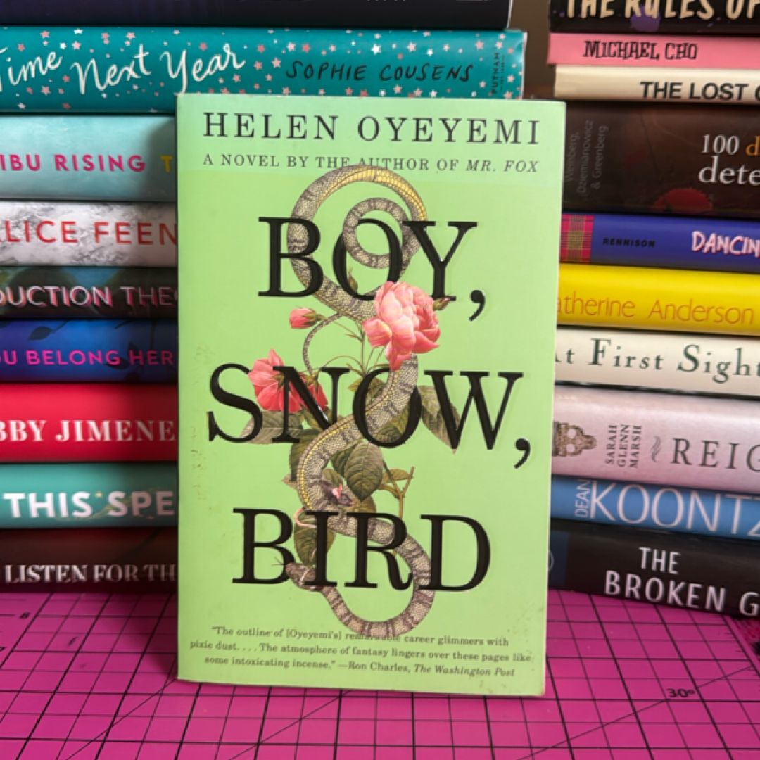 Boy, Snow, Bird