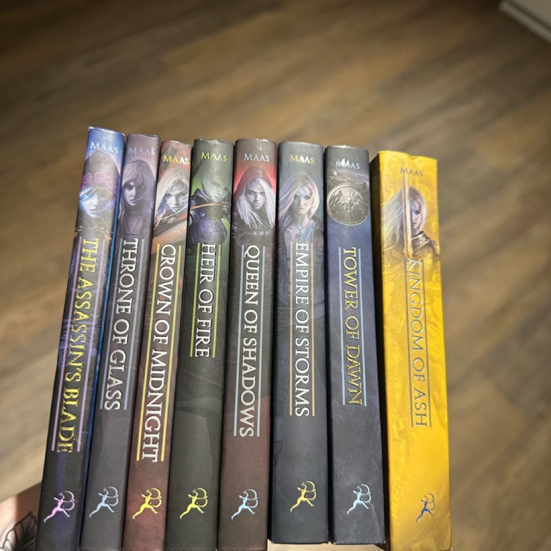 Throne of glass miniature character collection OOP