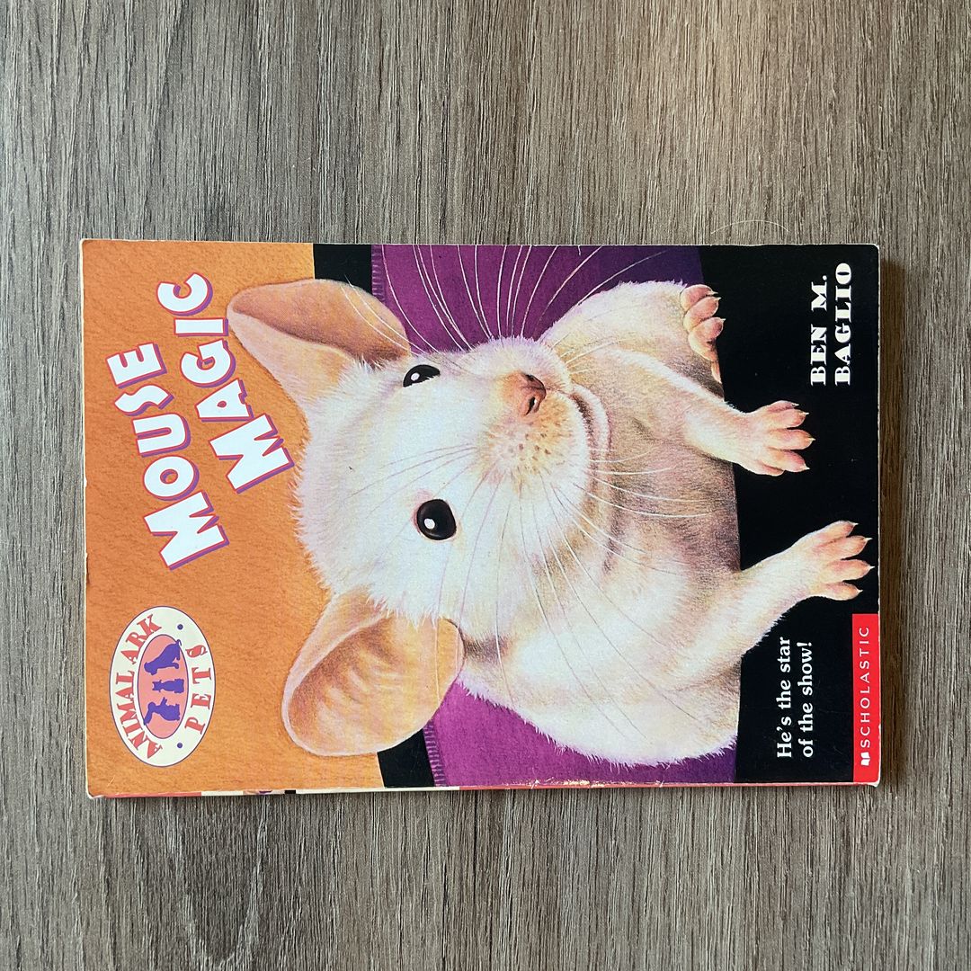 Mouse Magic