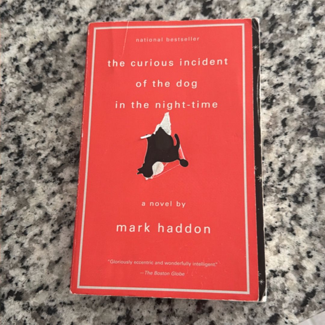 The Curious Incident of the Dog in the Night-Time