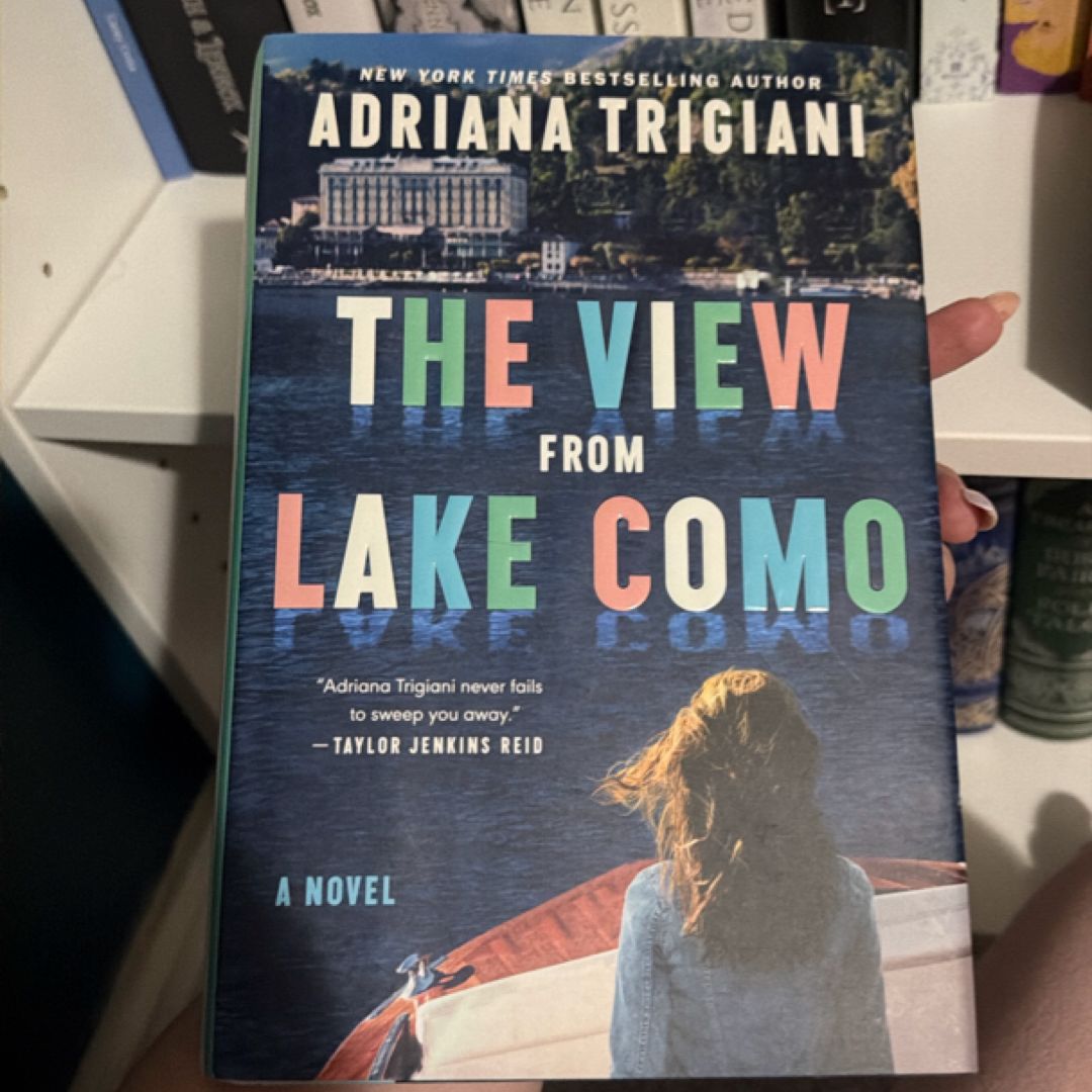The View from Lake Como