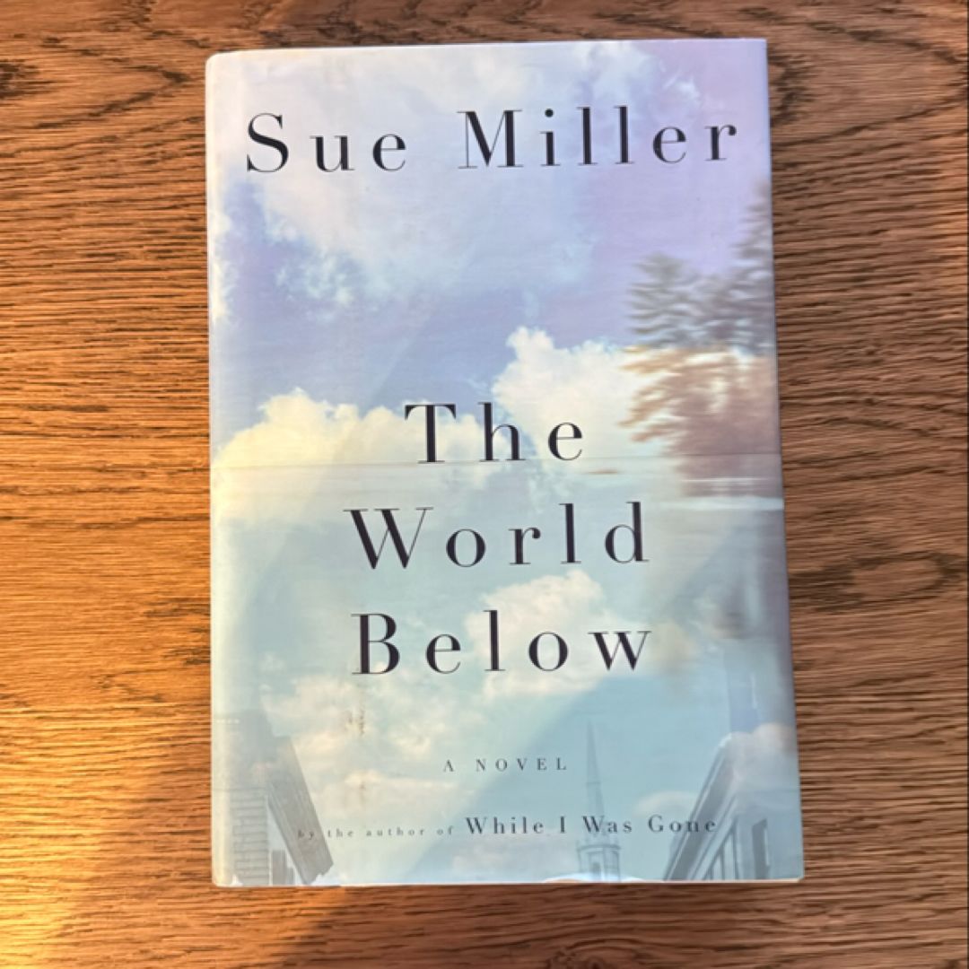 The World Below