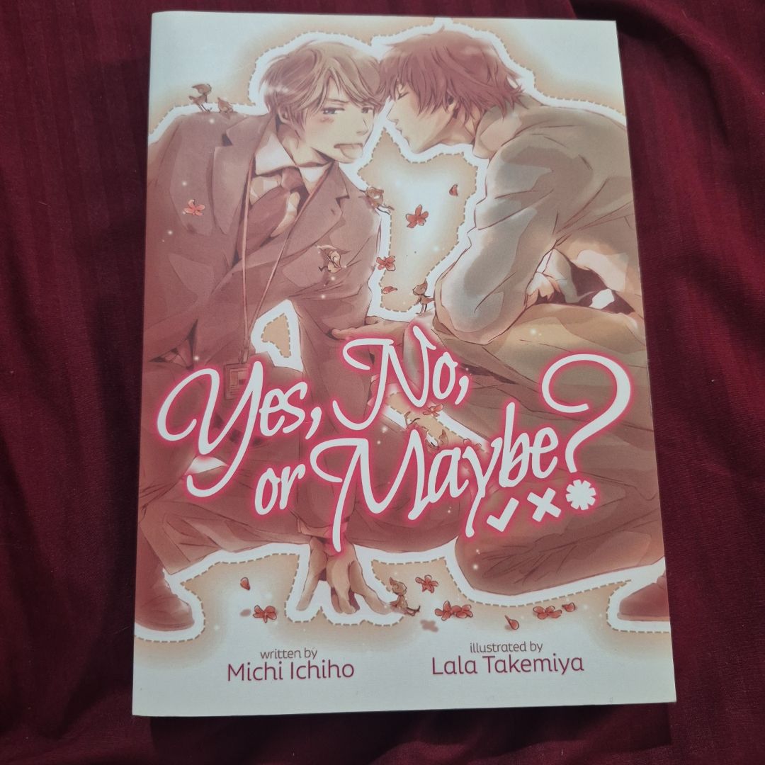 Yes, No, or Maybe? (Light Novel)