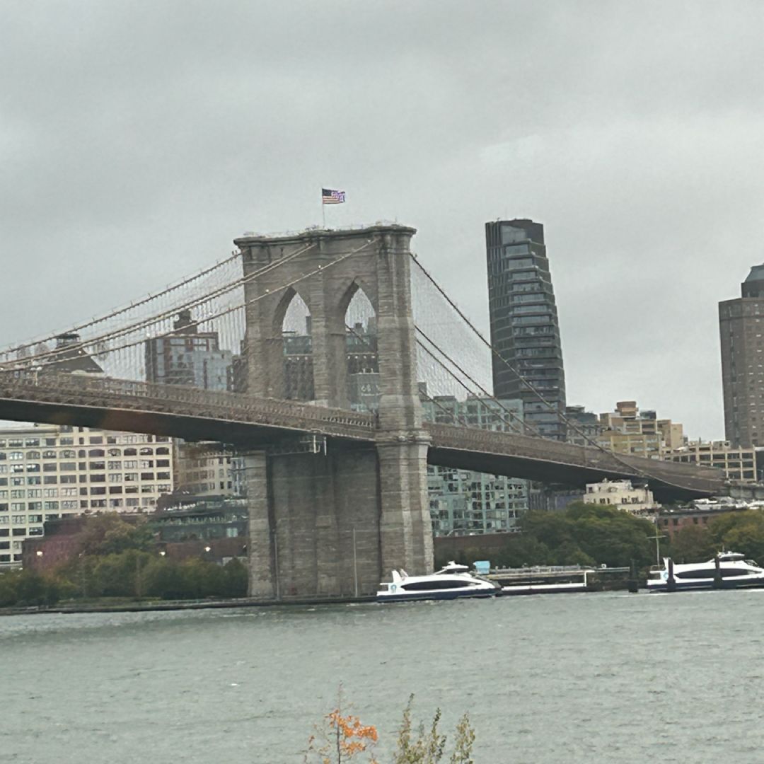 Shelly’s Book Stash