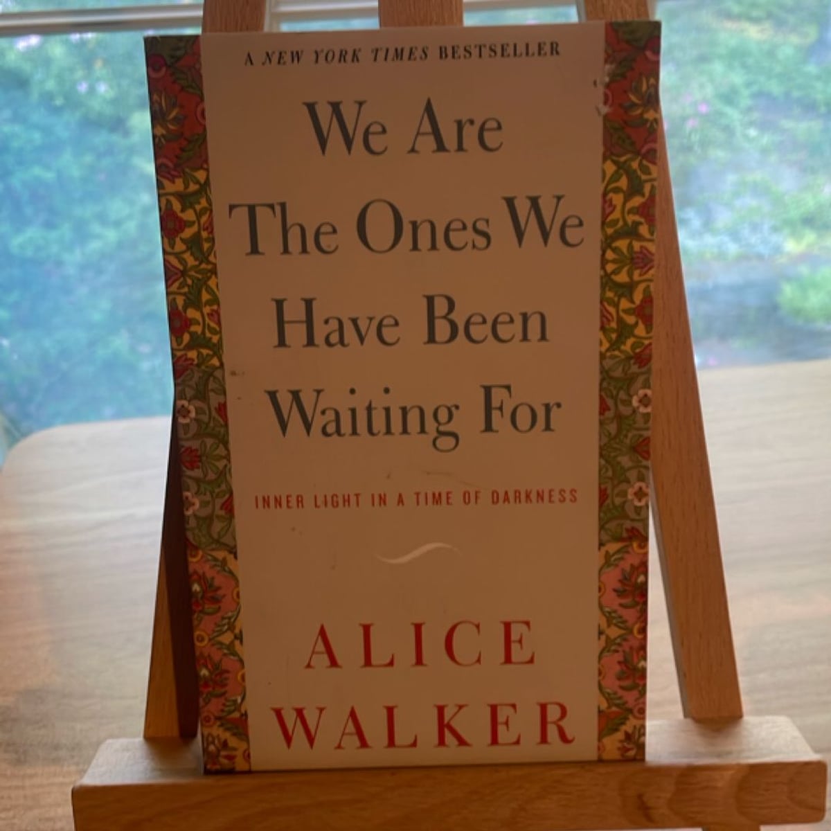 We Are the Ones We Have Been Waiting For by Alice Walker