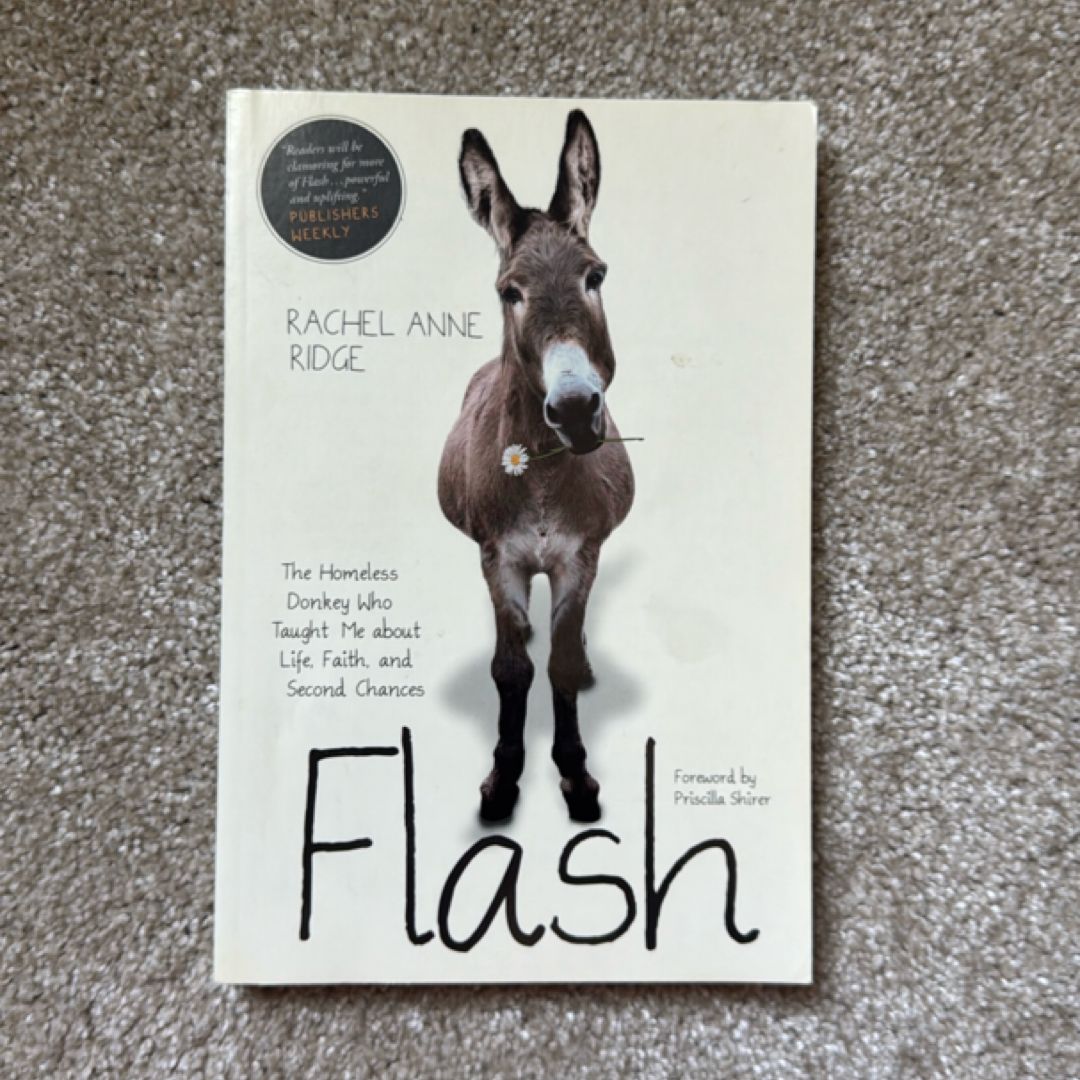 Flash