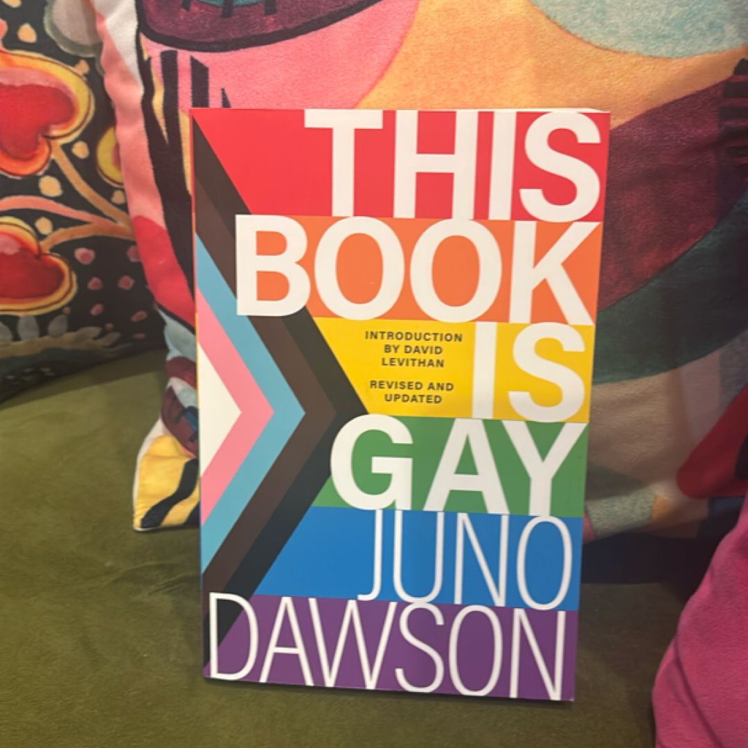 This Book Is Gay