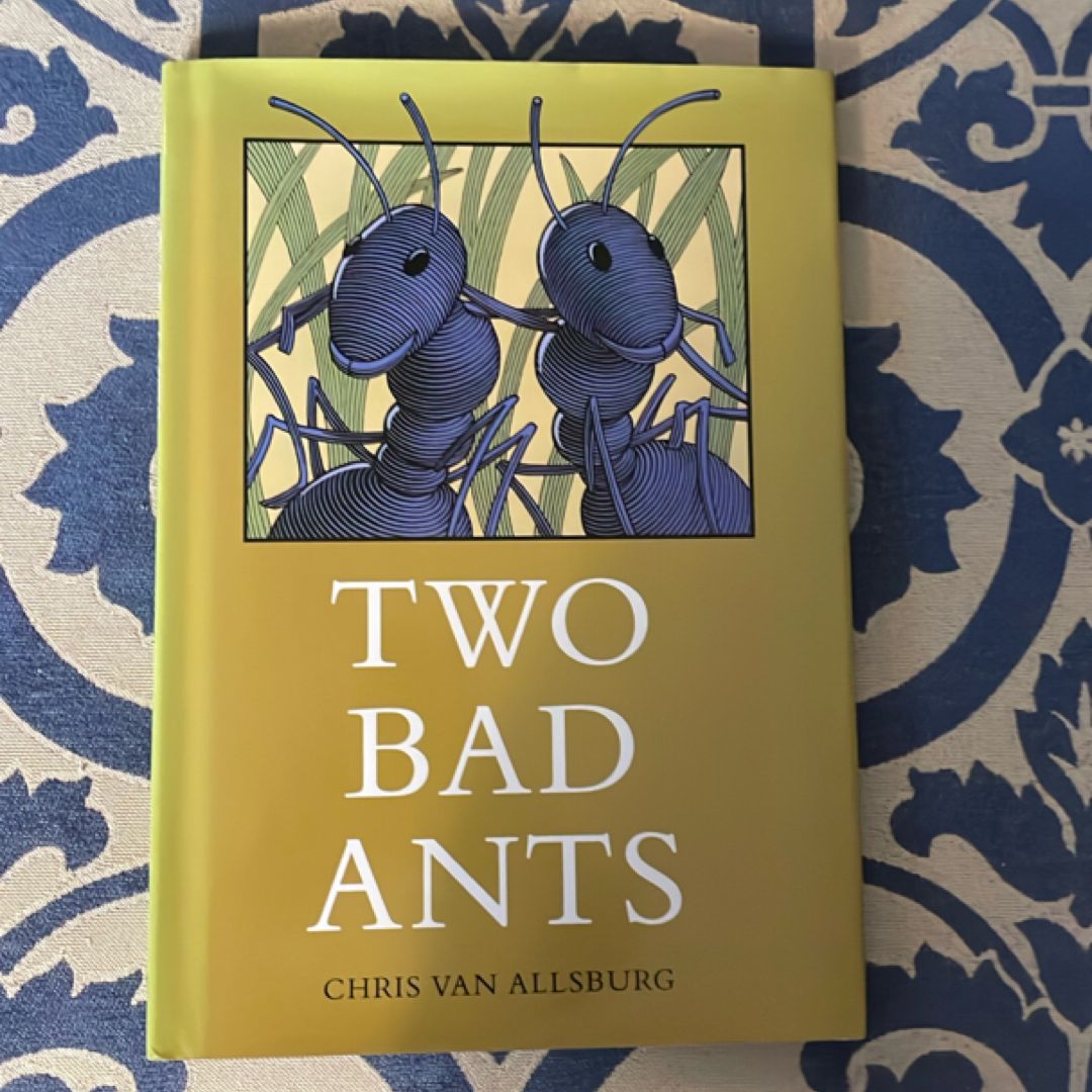 Two Bad Ants