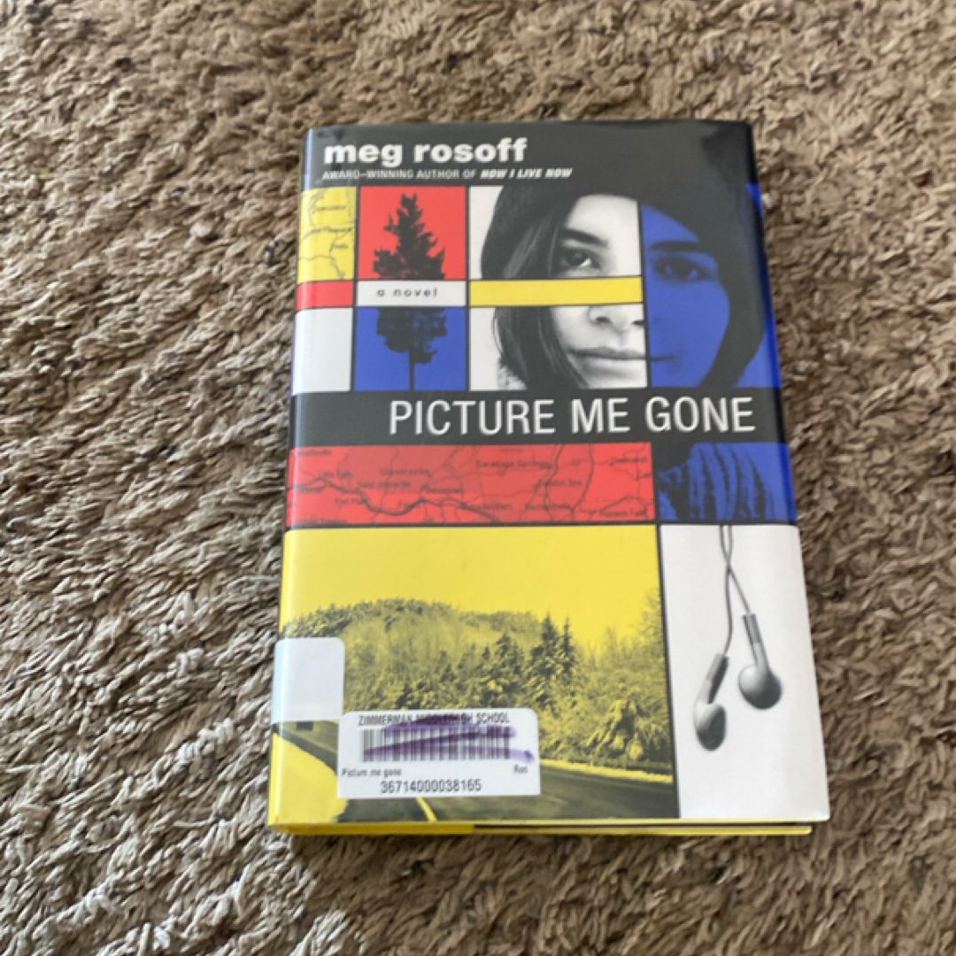 Picture Me Gone