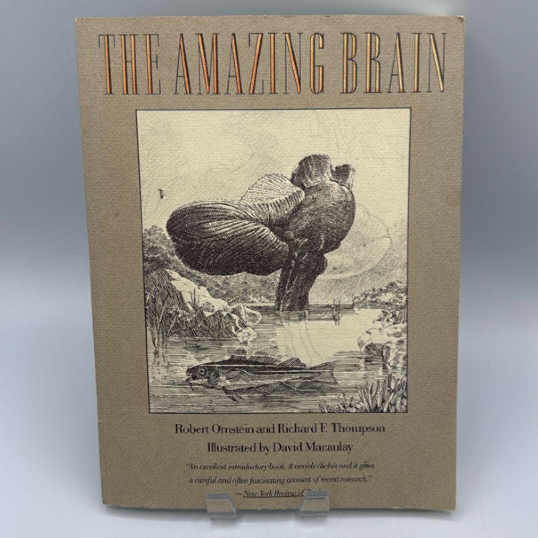 The Amazing Brain