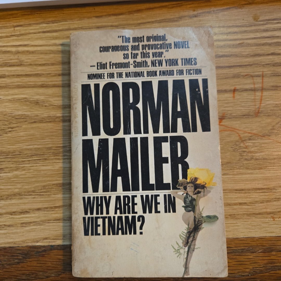 Why Are We in Vietnam?