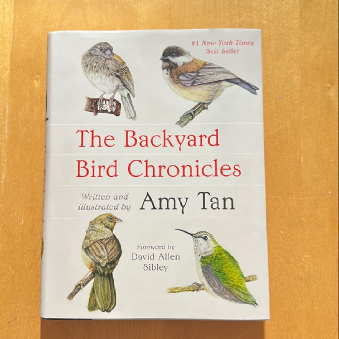 The Backyard Bird Chronicles