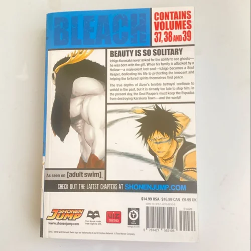 Bleach (3-In-1 Edition), Vol. 13