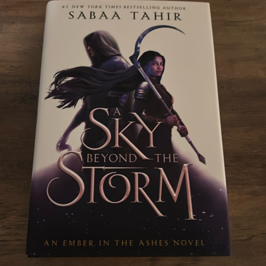 A Sky Beyond the Storm