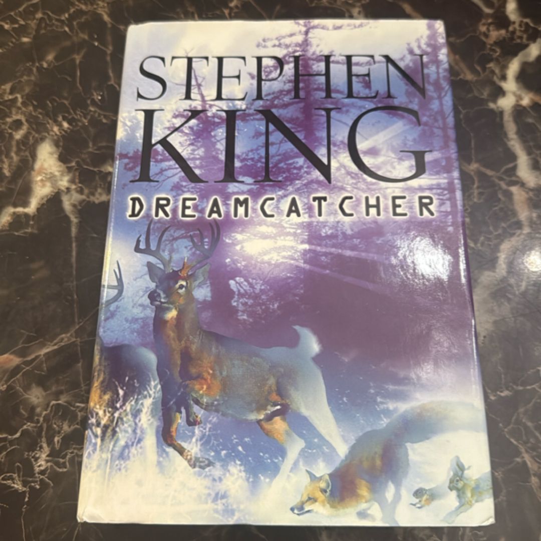 Dreamcatcher Large Print