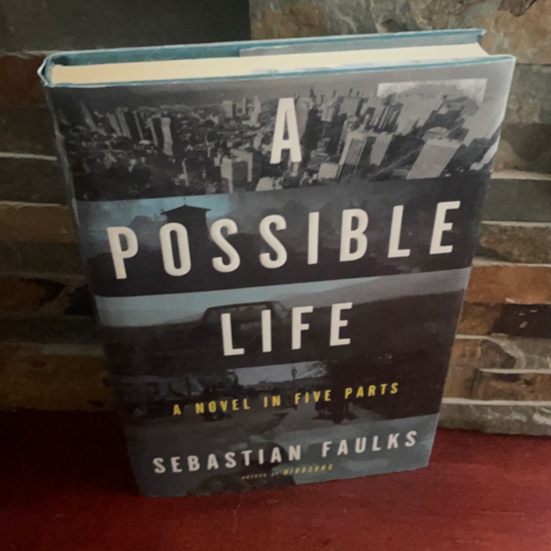 A Possible Life