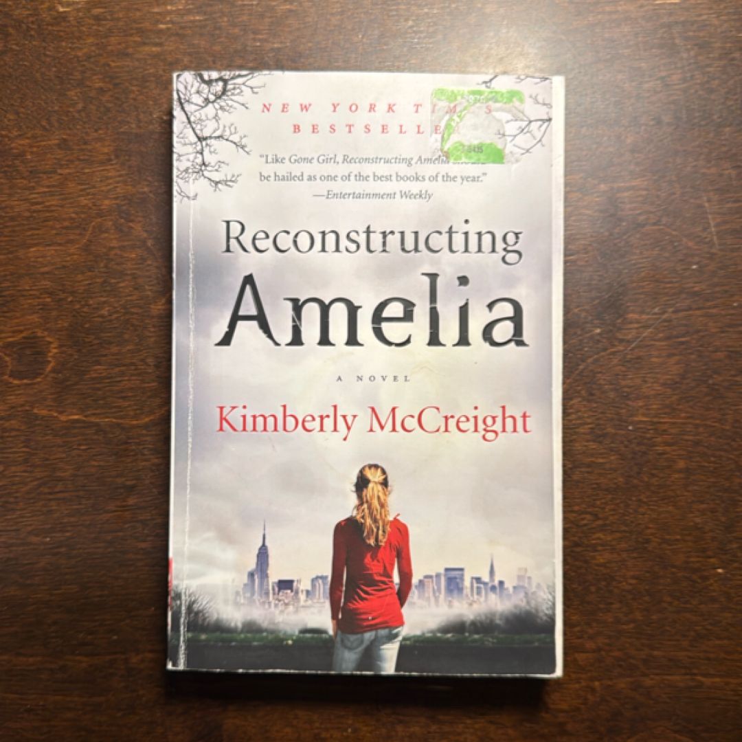 Reconstructing Amelia