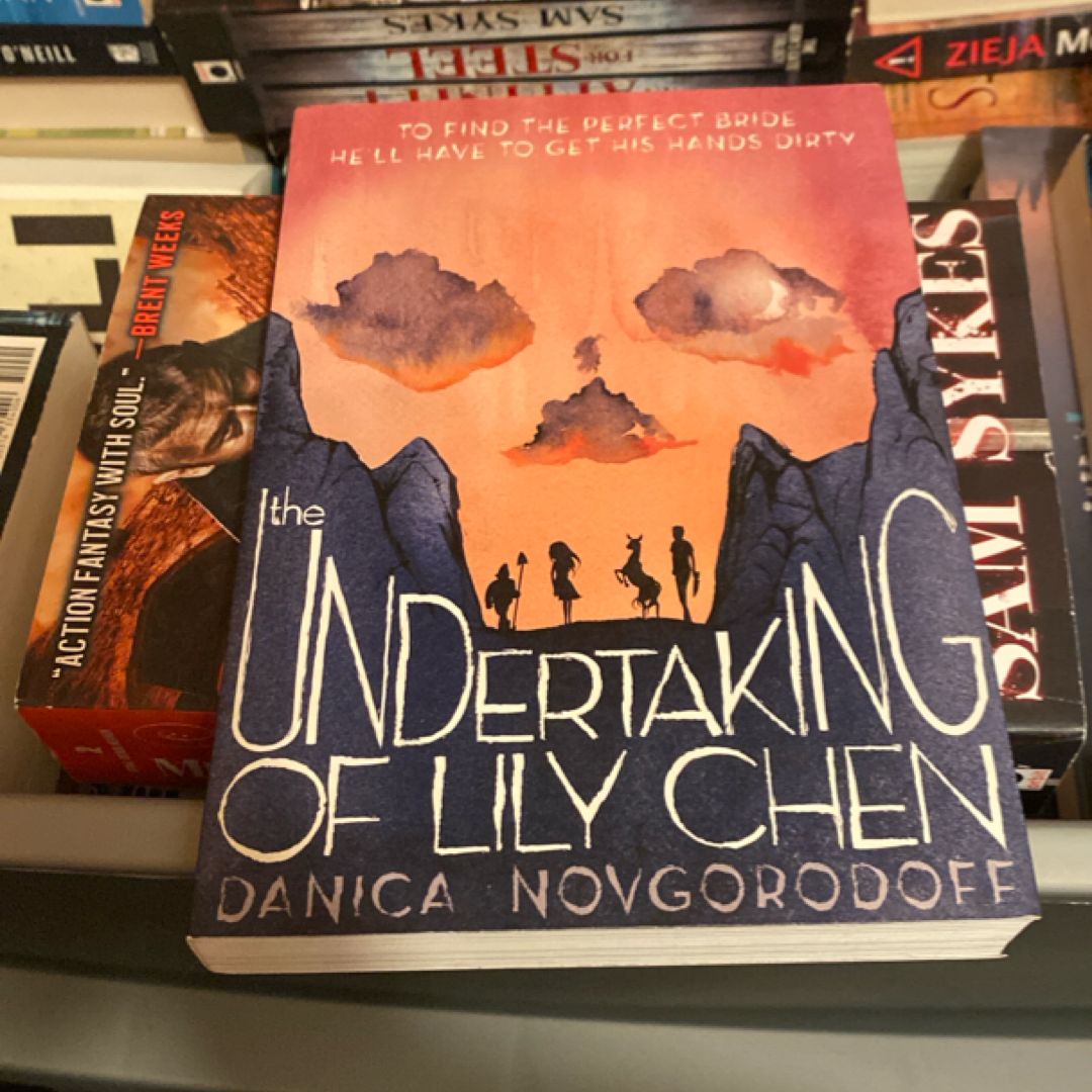 The Undertaking of Lily Chen