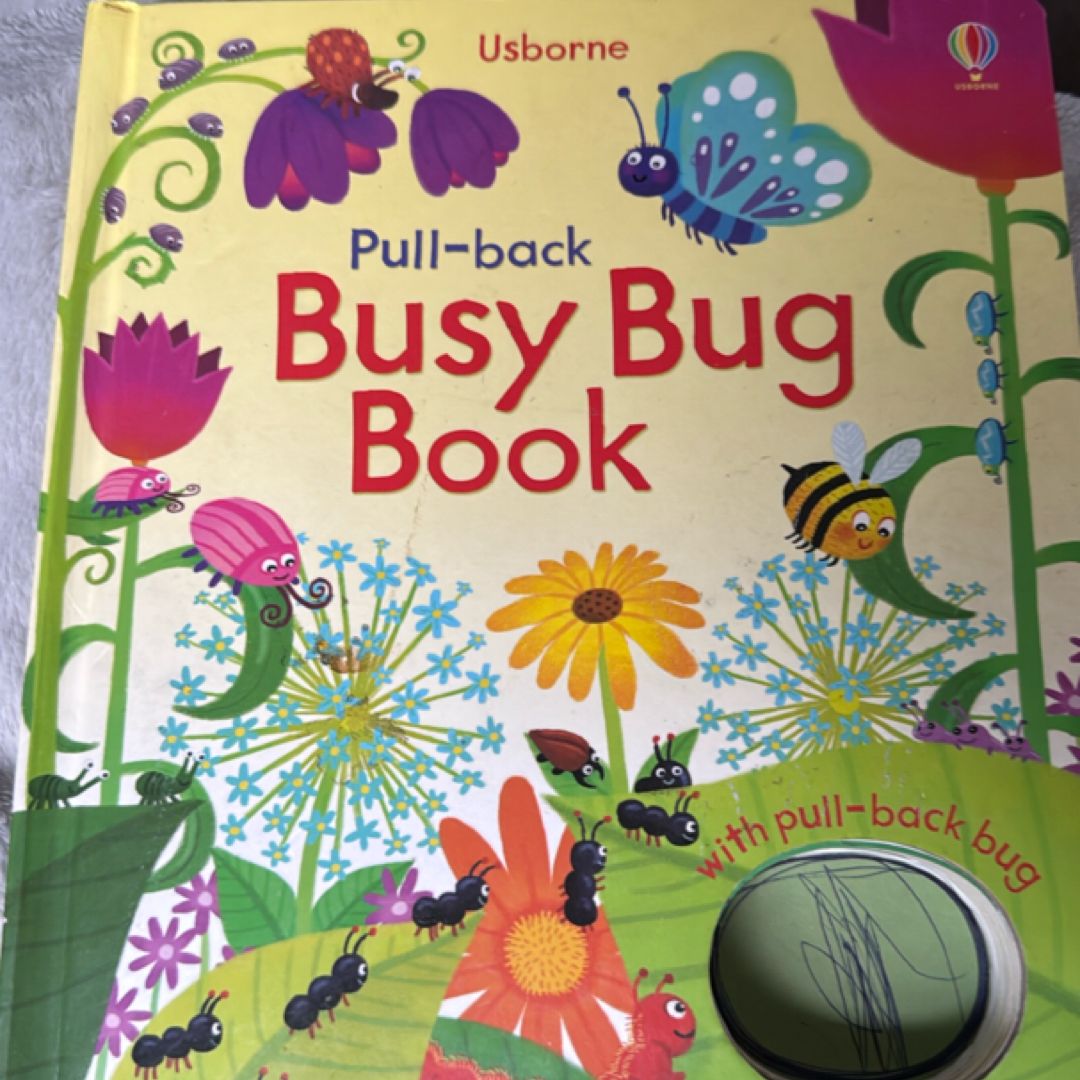 Busy Bug Book