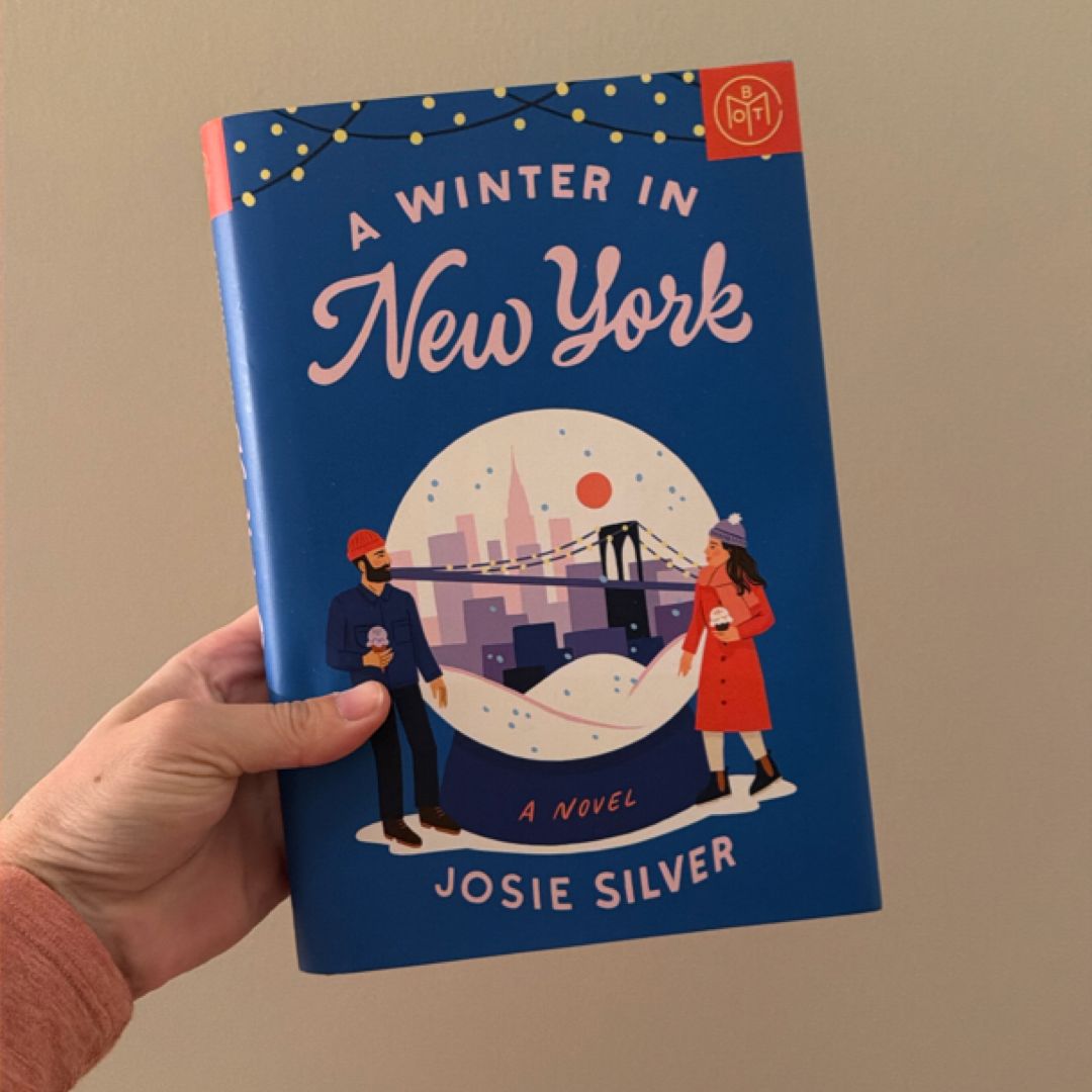 A Winter in New York