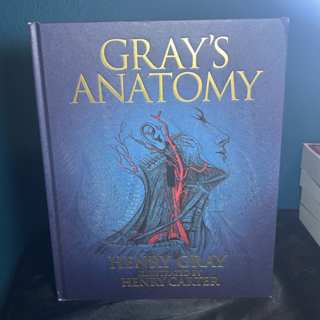 Grays Anatomy