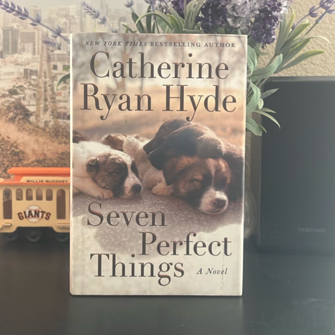 Seven Perfect Things