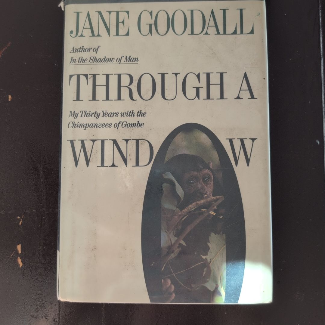 Through a Window