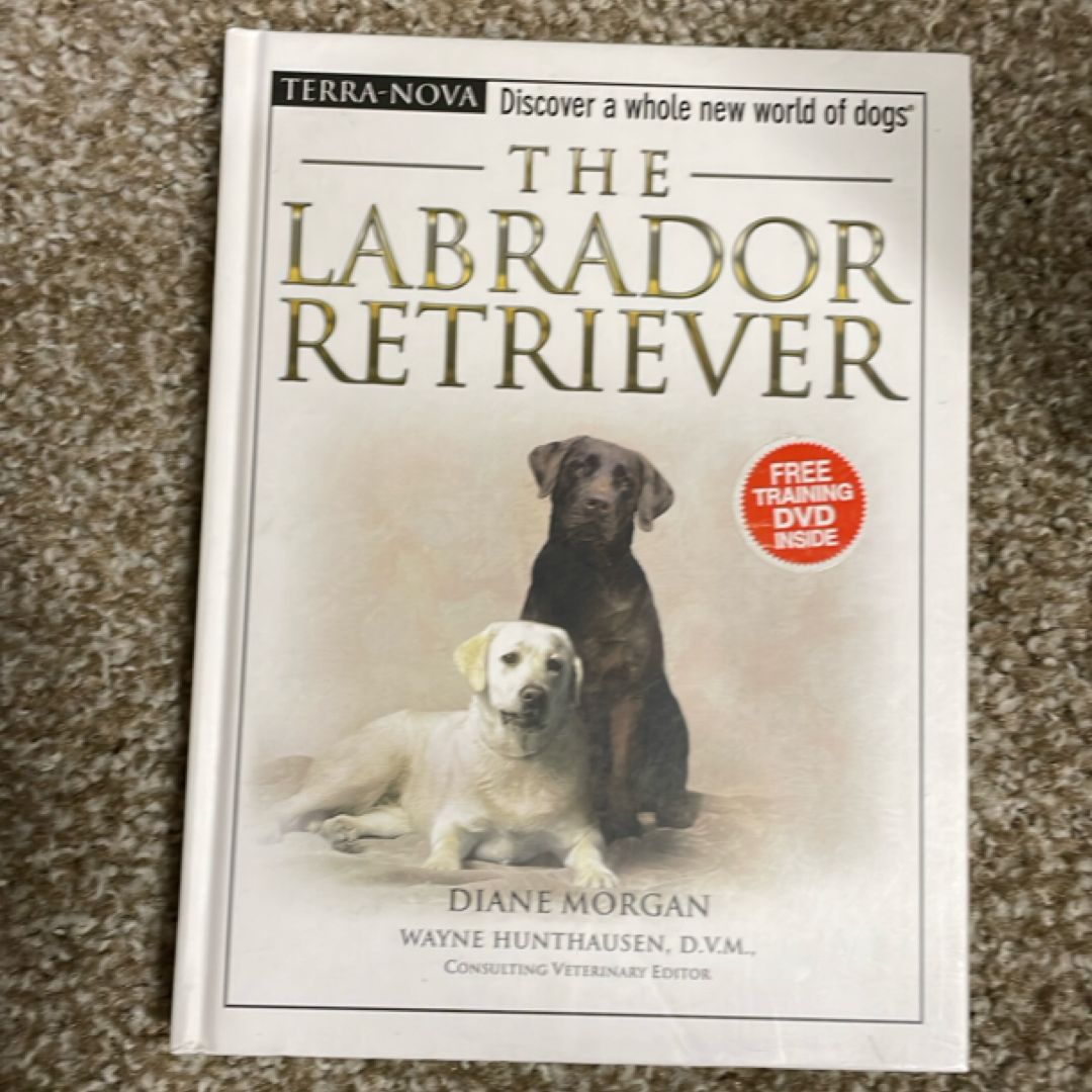 The Labrador Retriever