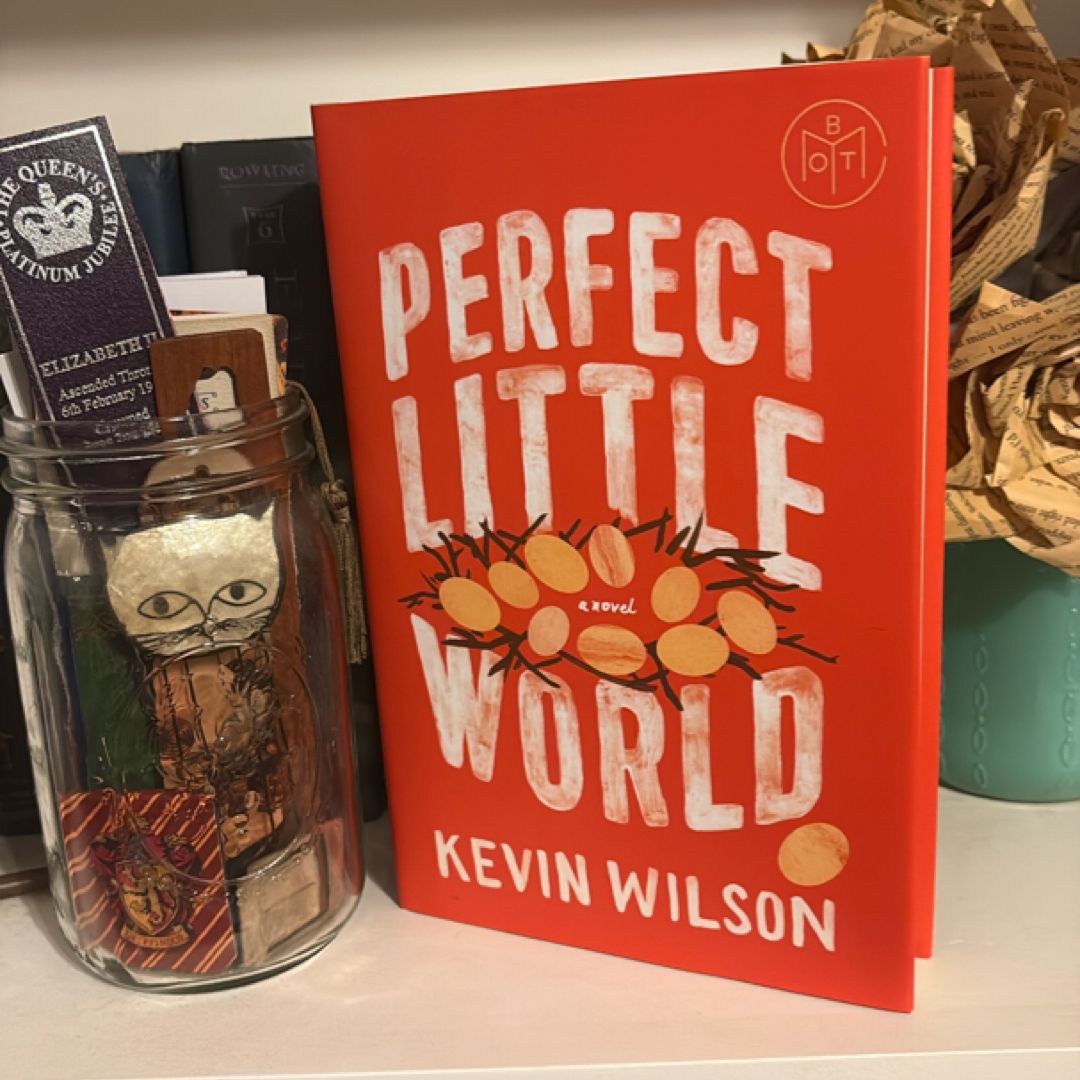 Perfect Little World