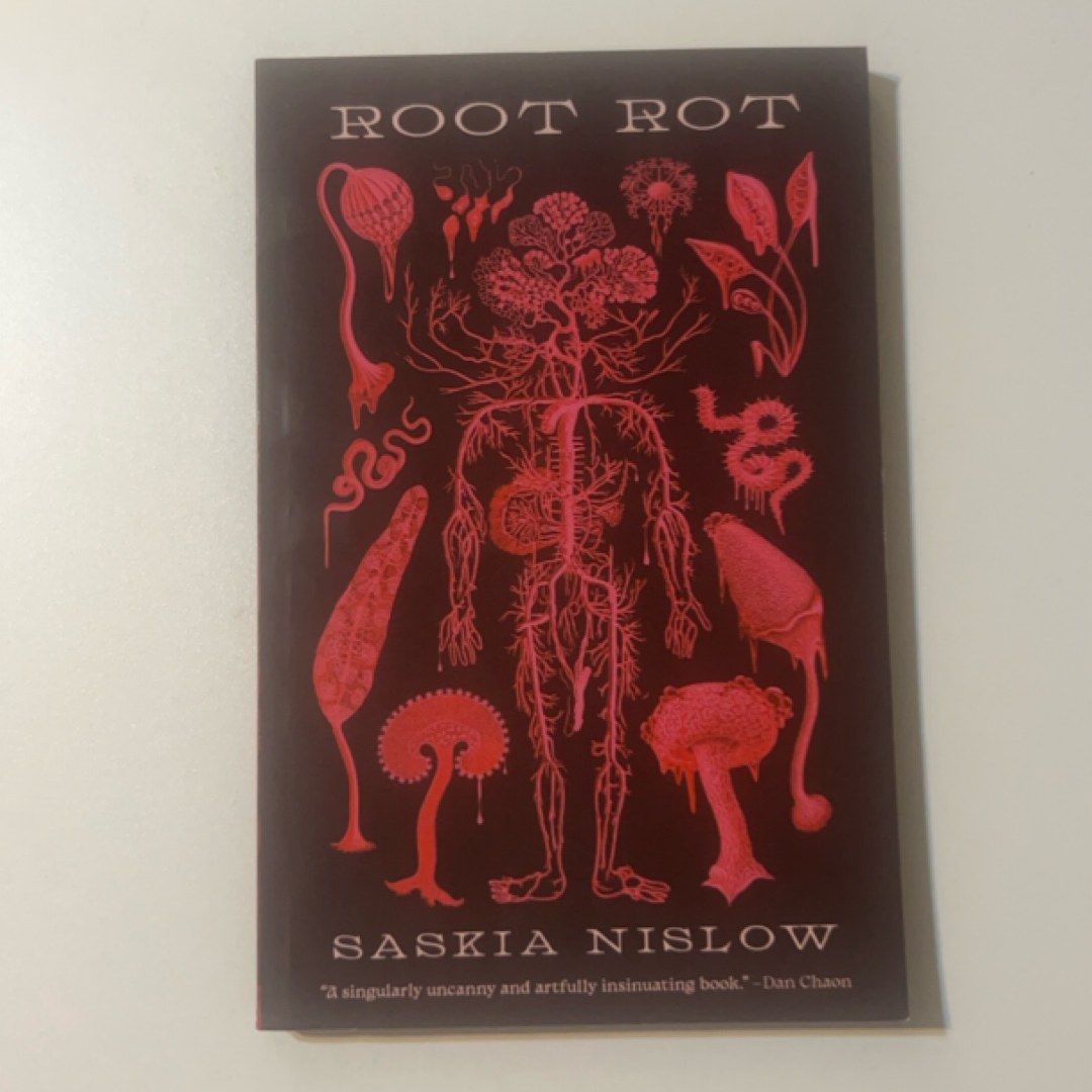Root Rot