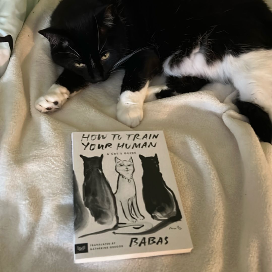 How to Train Your Human